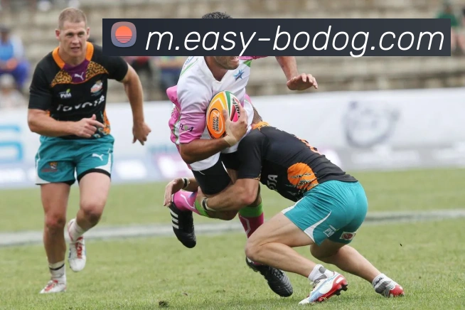 博狗娱乐APP 封面图