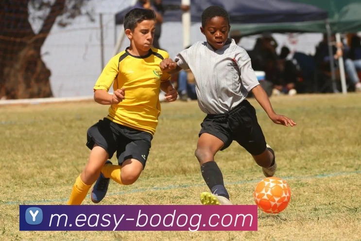 数据防护可视化